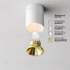 Накладной светильник Maytoni Alfa LED C064CL-8W2.7K-RD-WB C064CL-8W2.7K-RD-WB - 3
