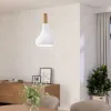Подвесной светильник Eglo Sabinar 901177 901177 - 2