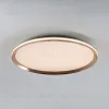 Потолочный светильник LED4U L3020-500 GD L3020-500 GD - 2
