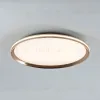 Потолочный светильник LED4U L3020-500 GD L3020-500 GD - 3