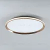 Потолочный светильник LED4U L3020-500 GD L3020-500 GD - 4