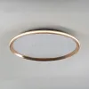 Потолочный светильник LED4U L3020-500 GD L3020-500 GD - 5