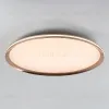 Потолочный светильник LED4U L3020-600 GD L3020-600 GD - 3