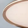 Потолочный светильник LED4U L3020-600 GD L3020-600 GD - 8