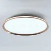 Потолочный светильник LED4U L3020-600 GD L3020-600 GD - 5