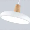 Подвесной светильник Ambrella Light Linetech Comfort FL4838 FL4838 - 6