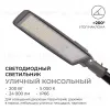 Уличный консольный светильник Apeyron 29-13 29-13 - 2