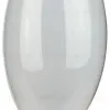 Лампа накаливания Эра B-60-E14-230-FR свечка Б0066376 Б0066376 - 2