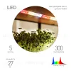Светодиодная лента для растений Эра FITO-Strip Light-Rа90-300LED-5m-12V-IP65 4000K Б0064591 Б0064591 - 1