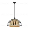 Подвесной светильник Arte Lamp Woodstock A7071SP-1BK A7071SP-1BK - 1
