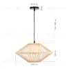 Подвесной светильник ST Luce Alma SL6241.533.01 SL6241.533.01 - 6
