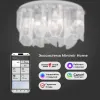 Потолочная люстра Bogate's Iceberg 381/10 Smart a069620 381/10 Smart - 6