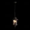 Уличный подвесной светильник Loft IT Prato 100021P 100021P - 2