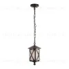 Уличный подвесной светильник Loft IT Ravenna 100016P 100016P - 1