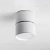 Накладной спот Lightstar Acuto 215836 215836 - 5