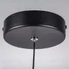 Подвесной светильник Lightstar Saturno 749017 749017 - 5