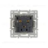 Механизм электрической розетки Arlight SCT-GP-MEU-PL-GR (250V, 16A) 043741 043741 - 2