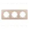 Рамка на 3 поста алюминиевая Arlight FRM-AKIRY-SFAL-3-GD 049742 049742 - 3