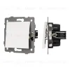 Механизм выключателя одноклавишный непроходной Arlight SWT-MK01-PL-WH-V (250V, 10A) 049867 049867 - 1