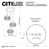 Подвесной светильник Citilux Eletto Betsy EL322P03.1 EL322P03.1 - 9