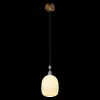 Подвесной светильник Loft IT Family 10365/F 10365/F - 6