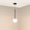 Подвесной светильник Arlight SP-BEADS-HANG-BUILT-T-R100-8W Warm3000 (BK-GD, 180 deg, 230V) 056420 056420 - 2