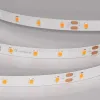 Светодиодная лента Arlight RT-A60-8mm 24V Carrot (4.8 W/m, IP20, 5m) 055375 055375 - 1