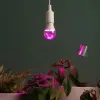 Светодиодная фитолампа для растений Эра ФИТО A60-15W-PL-E27-GR Б0064548 Б0064548 - 7