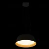 Подвесной светильник Loft IT Evans 10224P Black 10224P Black - 4