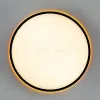 Потолочный светильник Citilux Norma LED RGB CL749501 CL749501 - 9