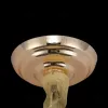 Подвесная люстра Citilux Naiad CL315152 CL315152 - 10