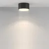 Накладной светильник Maytoni Glory C094CL-GX53-B C094CL-GX53-B - 4