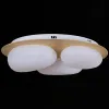 Потолочная люстра Reluce 10009-0.3-60W AEROLITE 10009-0.3-60W AEROLITE - 4