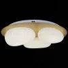 Потолочная люстра Reluce 10009-0.3-60W AEROLITE 10009-0.3-60W AEROLITE - 1