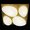 Потолочная люстра Reluce 10010-0.3-80W AEROLITE 10010-0.3-80W AEROLITE - 3