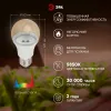 Фитолампа для растений Эра FITO-11W-Ra90-E27 Б0050603 Б0050603 - 4