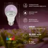 Фитолампа для растений Эра FITO-11W-Ra90-E27 Б0050603 Б0050603 - 5
