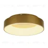 Потолочный светильник Myfar Shannon MR2195-1PL MR2195-1PL - 4
