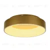 Потолочный светильник Myfar Shannon MR2195-1PL MR2195-1PL - 3
