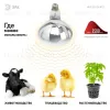 Инфракрасная лампа для обогрева животных Эра ИКЗ 220-250 R127 E27 Б0042991 Б0042991 - 11