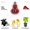 Инфракрасная лампа для обогрева животных Эра ИКЗК 230-60 R63 Е27 Б0057281 Б0057281 - 8