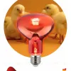 Инфракрасная лампа для обогрева животных и освещения Эра ИКЗК 230-100 R95 E27 Б0064638 Б0064638 - 1