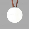 Трековый однофазный светильник Denkirs Belty Orb DK5554-BK DK5554-BK - 1
