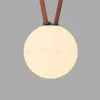Трековый однофазный светильник Denkirs Belty Orb DK5555-BK DK5555-BK - 1