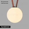 Трековый однофазный светильник Denkirs Belty Orb DK5555-BK DK5555-BK - 2