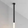 Соединитель с блоком питания Maytoni Shelf CA011-L300-100W-B CA011-L300-100W-B - 2