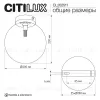 Потолочный светильник Citilux Orton CL202511 CL202511 - 10