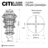 Подвесная люстра Citilux Etera CL322090 CL322090 - 18
