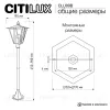 Ландшафтный светильник Citilux Forts CLU09B CLU09B - 13
