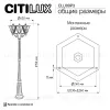 Парковый светильник Citilux Forts CLU09P3 CLU09P3 - 13